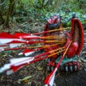 Hunt Dragons In A Stunning Native Forest | Archery Park Nelson