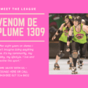 Come Skate With Us – Nelson Bays Roller Derby League