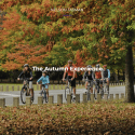 Nelson Autumn Experience