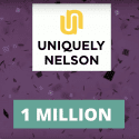 One Million People Have Viewed Nelson City Through Uniquely Nelson