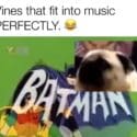 Vines That Fit Into Music PERFECTLY