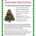 Entries Required For The Festival Of Christmas Trees At Nelson Cathedral 2019