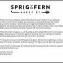 Normal Trade Hours | Sprig And Fern On Hardy Street