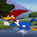Woody Woodpecker Show | Hide And Seek