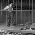 Charlie Chaplin – The Lion Cage – Full Scene (The Circus, 1928)