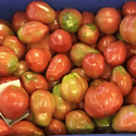 Good Things Continue To Happen – A Fresh Delivery Of Romano’s Low-acid Capri Tomatoes. Yum! | Prego Mediterranean