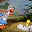 Tom & Jerry | Best Of Little Quacker