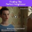 Young Sheldon – Finding The Perfect Neighbour