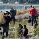 Tahunanui Beach Dune Restoration Planting | Nelson City Council