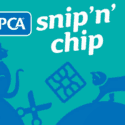 We Still Have A Few Days Of Snip N Chip Appointments Available. 16th, 17th And 18th June | SPCA Nelson Centre