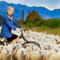 The Bicycle & The Butcher’s Daughter – A Premiere Play In Nelson’s Newest Theatre Space