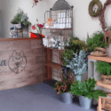 The Shop Is Slowly Starting To Look How We Envisaged- How Good Does The Counter Look!? | Woodlea Floral Studio