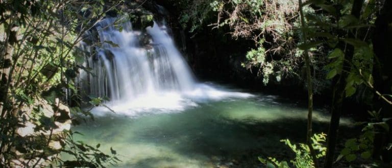 1336948 592827 34 768x331