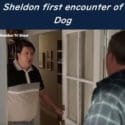 Sheldon First Encounter Of Dog – Young Sheldon