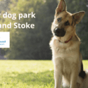 A Brand New Dog Park For Nelson And Stoke: Nelson City Council