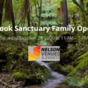 The Brook Sanctuary Family Open Day: Nelson Venues And Events