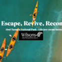 Summer Spaces Available: Wilsons Abel Tasman