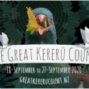 Making It Count – Nelson City Council Gets Behind The Great Kereū Count And Launches A Subsidised Trap Project To Help Protect Native Birds