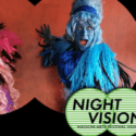 Night Vision: Nelson Art Festival