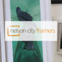 A Beautiful Prints By Kathryn Furniss: Nelson City Framers & Gallery
