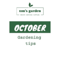 Is It October Already!  – Here Are Our Gardening Tips For This Month : Tim’s Garden