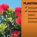 December Garden Checklist | Mitre 10 Easy As Garden