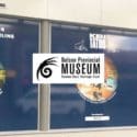 Catch A Glimpse Of Intriguing Images: Nelson Provincial Museum