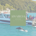 A Great Idea For Those Pre-Christmas Parties: Awaroa Lodge