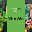 Win Me: Paper Plus