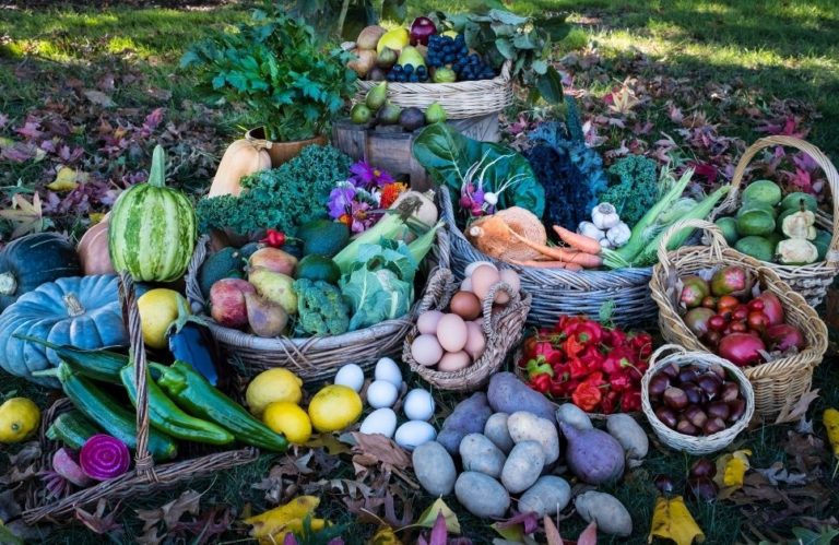 Nelson Farmers Market 3 768x499