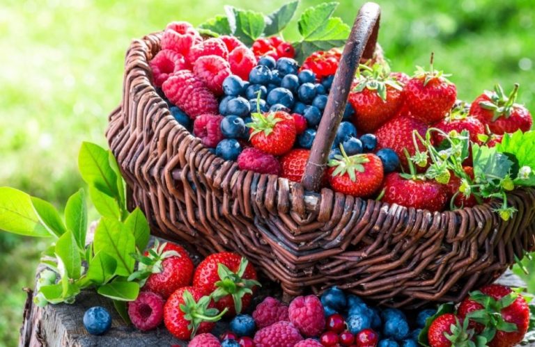 Nelson Farmers Market 4 768x499