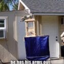 Building The Perfect Squirrel Proof Bird Feeder