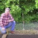 HOW TO GROW PARSNIPS