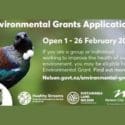 Nelson City Council’s Environmental Grants