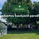 A Productive Backyard Paradise ???: Tim’s Garden