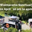 Sanctuary Open Day: The Brook Sanctuary