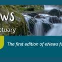 The First Edition Of ENews For 2021.: Brook Sanctuary