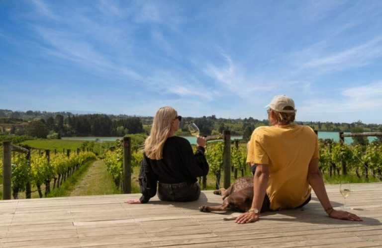 Wine Nelson 2 768x499