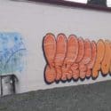 Street Food On Washington Street Art