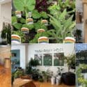 Your Garden Delights… Tim’s Garden