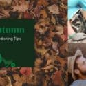 Autumn Gardening Tips: Tim’s Garden