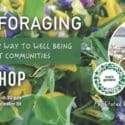 Wild Food Foraging Workshop