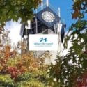 Celebrate It Than With Our Autumn Photo Competition: Nelson City Council