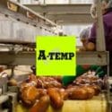 Apply For The Job: A-Temp Recruitment