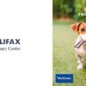 Bad Breath Is The Most Common Health Complaint By Pet Owners: Halifax Veterinary Centre
