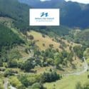 Forestry Harvesting In The Brook Valley And Maitai Valley To Go Ahead This Winter
