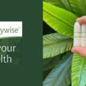 Did You Know That On Average Women Use Around 11,000 Pads Or Tampons In Their Lifetime: Bodywise Natural Health & Beauty Centre Nelson