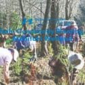 Project Mahitahi Community Planting 2021- Maitai Mahitahi Wetland