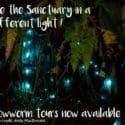 GLOWWORM TOUR A SPECIAL EXPERIENCE AFTER DARK: The Brook Sanctuary