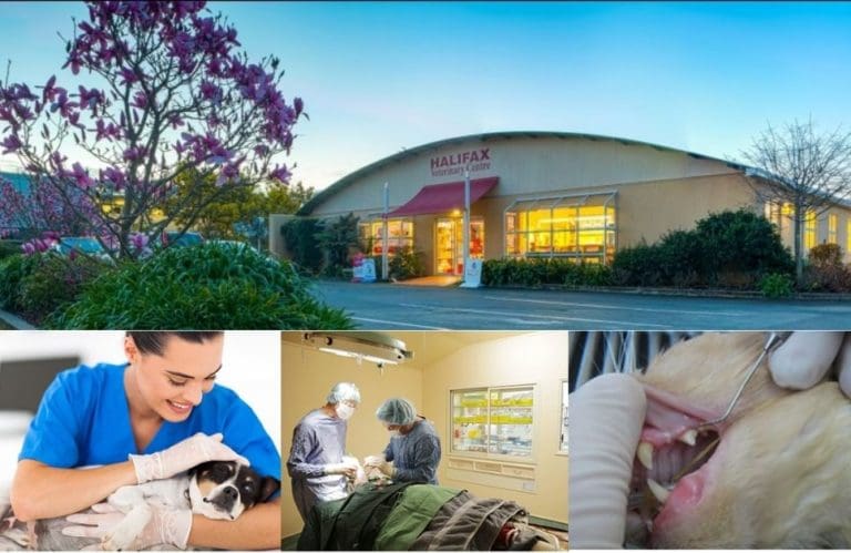 Halifex Slider 1 768x499